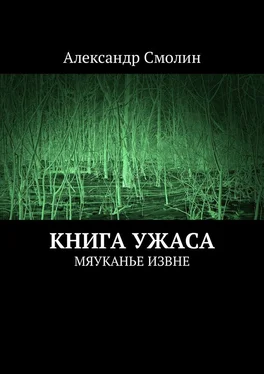 Александр Смолин Книга ужаса. Мяуканье извне обложка книги