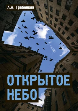 А. Гребенкин Открытое небо обложка книги