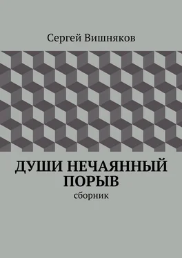 Сергей Вишняков Души нечаянный порыв. сборник обложка книги