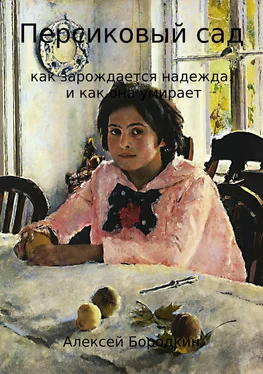 Алексей Бородкин Персиковый сад обложка книги