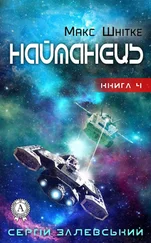 Сергій Залевський - Найманець