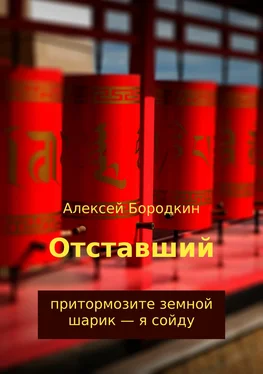 Алексей Бородкин Отставший обложка книги