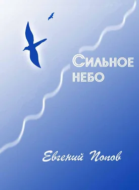 Евгений Попов Сильное небо обложка книги