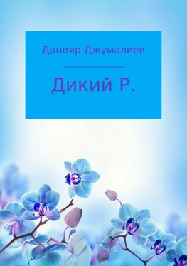 Данияр Джумалиев Дикий Р. обложка книги