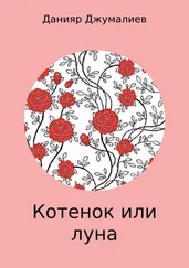 Данияр Джумалиев - Котенок или луна