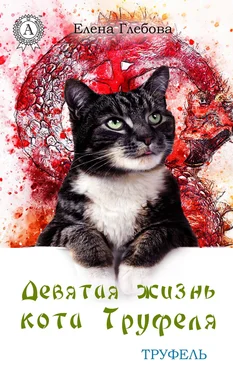 Елена Глебова Девятая жизнь кота Труфеля