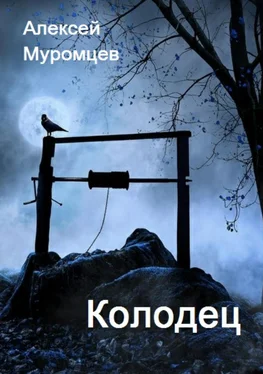 Алексей Муромцев Колодец обложка книги