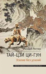 Михаил Роттер - Тай-Цзи Ци-гун. Усилие без усилий