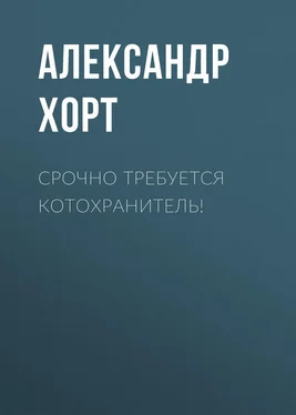 Александр Хорт Срочно требуется котохранитель! обложка книги