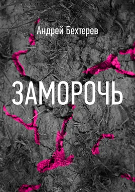 Андрей Бехтерев Заморочь обложка книги