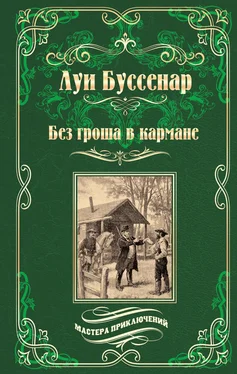 Луи Буссенар Без гроша в кармане. Среди факиров (сборник) обложка книги