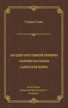 Серая Сова Загадки опустевшей хижины. Саджо и ее бобры обложка книги