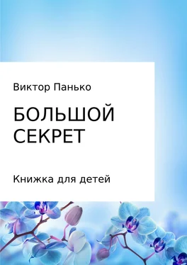 Ирина Христюк Большой секрет. Книжка для детей. Сборник обложка книги