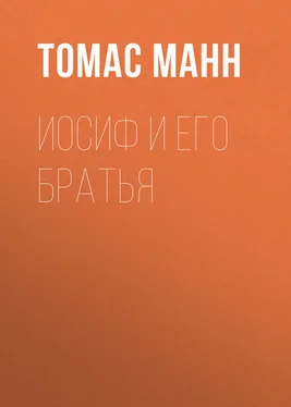 Томас Манн Иосиф и его братья обложка книги