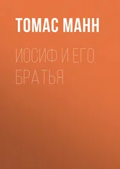 Томас Манн - Иосиф и его братья