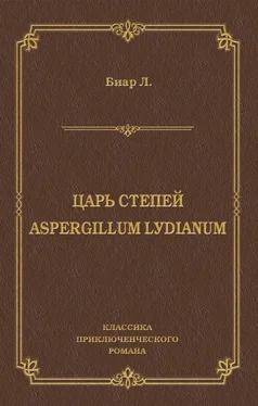 Люсьен Биар Царь степей. Aspergillum Lуdiаnum (сборник) обложка книги