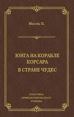 Пьер Маэль Юнга на корабле корсара. В стране чудес обложка книги