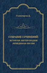 Джон Голсуорси - Собрание сочинений. Встречи - Интерлюдия. Лебединая песня