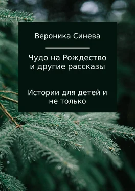 Вероника Синева Чудо на Рождество и другие рассказы обложка книги