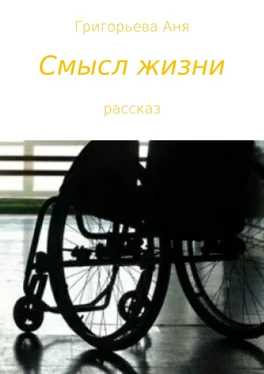 Аня Григорьева Смысл жизни обложка книги