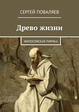 Сергей Поваляев Древо жизни. Философская лирика обложка книги