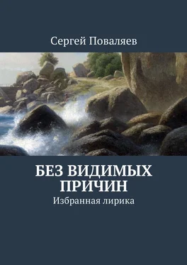 Сергей Поваляев Без видимых причин. Избранная лирика обложка книги