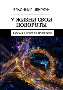 Владимир Цвиркун У жизни свои повороты. Рассказы, новеллы, новеллиты обложка книги