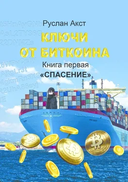 Руслан Акст Ключи от Биткоина. Книга первая. Спасение обложка книги