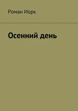 Роман Иорк Осенний день обложка книги