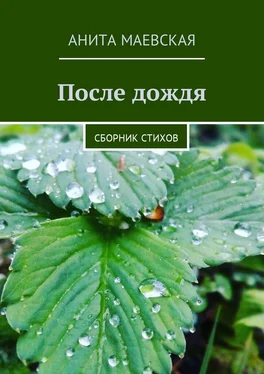 Анита Маевская После дождя. Сборник стихов обложка книги