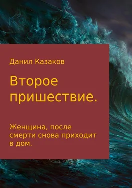 Данил Казаков Второе пришествие обложка книги