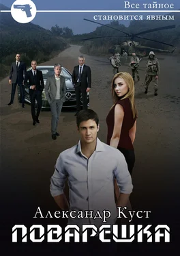 Александр Куст Поварёшка обложка книги