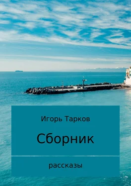 Игорь Тарков Рассказы обложка книги