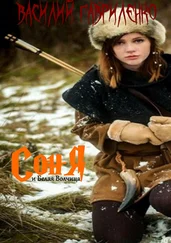 Василий Гавриленко - Соня и Белая Волчица