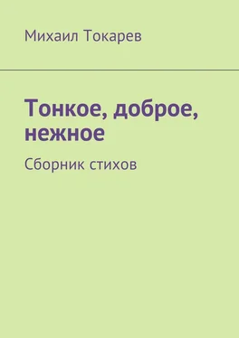 Михаил Токарев Тонкое, доброе, нежное. Сборник стихов обложка книги