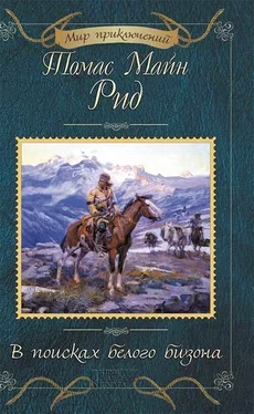 Томас Майн Рид В поисках белого бизона (сборник) обложка книги