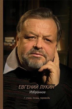 Евгений Лукин Избранное. Стихи, поэмы, переводы обложка книги