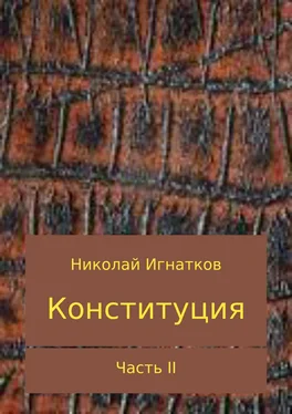 Николай Игнатков Конституция. Часть 2 обложка книги