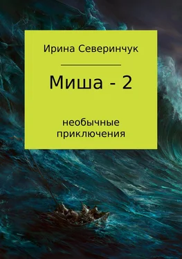 Ирина Северинчук Миша – 2 обложка книги