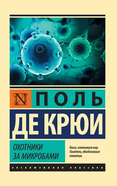 Поль Крюи Охотники за микробами обложка книги