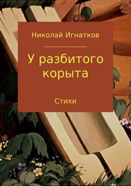 Николай Игнатков У разбитого корыта обложка книги