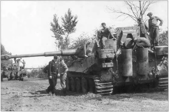 Тигры 503го батальона в боях на Курской Дуге Июльавгуст 1943 года - фото 77