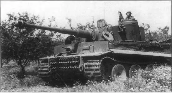 PzKpfwVIH с номером 142 красного цвета Северная Африка апрель 1943 - фото 95