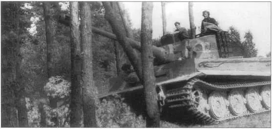 PzKpfwVI AusfE Тигр I позднего выпуска Польша осень 1943 года В - фото 225