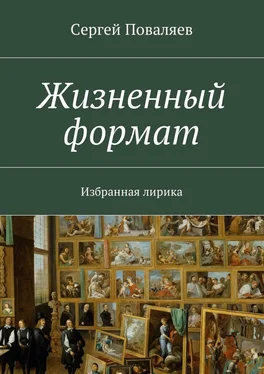 Сергей Поваляев Жизненный формат. Избранная лирика обложка книги