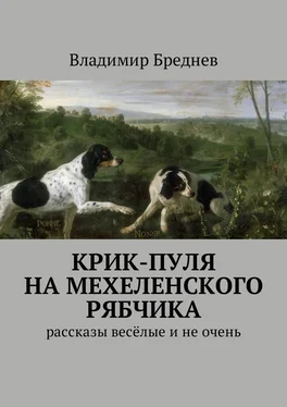 Владимир Бреднев Крик-пуля на мехеленского рябчика. Рассказы весёлые и не очень обложка книги