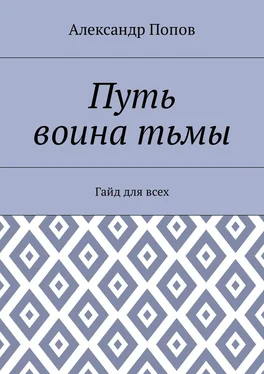 Александр Попов Путь воина тьмы. Гайд для всех обложка книги