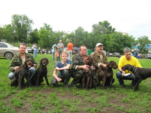 Any victory is pleasantly inspiring However the breeder of hunting dogs knows - фото 6