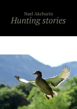 Nael Akchurin Hunting stories обложка книги