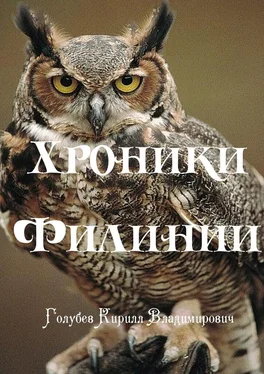 Кирилл Голубев Хроники Филинии. Часть первая. Новый король обложка книги